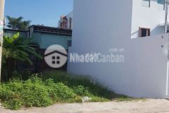 Bán đất thổ cư ở thới tam thôn, hóc môn hẻm xe hơi