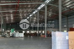 Cho thuê 3.000m² kho xưởng ql 1a, thường tín pccc tự động