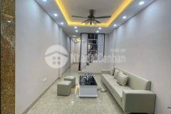 Cho thuê nhà nguyên căn phố khương hạ, thanh xuân, nhà đẹp 8 ngủ