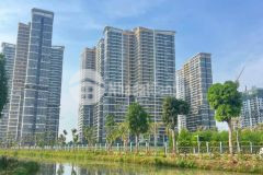 Cần bán đất đường 21 nguyễn xiển, p. long thạnh mỹ, q9 sát vinhomes 82m2 giá 4,35ty