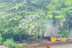 Bán đất lô d25 dự án rio centro đường gò cát, đối diện chung cư ricca, tp. thủ đức 104m2 giá 5,9ty
