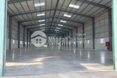 Cho thuê nhà kho 3000m2 tại đại hiệp quảng nam, sẵn pccc, giá rẻ chỉ 50k