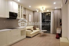 Chính chủ gửi bán căn 2pn 2wc 63m2 thông thuỷ tại vinhomes ocean park giá chỉ 3,57 tỷ