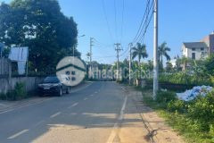 Bán đát phường xuân khanh sơn tây