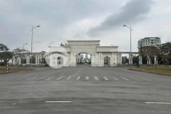 Bán đất biệt thự đỉnh long, ph tân bình, tp hải dương, 176m2, mt 11m, hướng tây, đường 15.5m