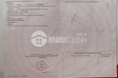 Bán đất lý thái tông, quận liên chiểu, đà nẵng cách biển 300m, liên hệ 0978998890 cần tiền nên
