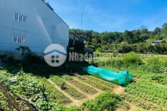Chỉ 33 trm2 giá tốt chốt ngay đường trần thái tông đà lạt