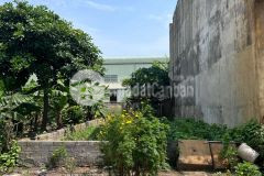 Bán đất mặt ngõ phố phú thượng, diện tích 60m2, giá 12.5 tỷ