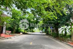 Bán đất mặt đường trần huy liệu, ph tứ minh, tp hd, 80m2, mt 5m, đường 13.5m, 3.x tỷ