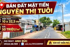 Bán đất mặt tiền ngang 10m nguyễn thị tuôi 10 x 32.5m giá 50trm2