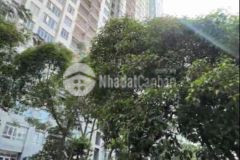 Chợ phạm thế hiển thpt lương văn can ngang 8m dt 983m² hoàng kim giao quận 8 nhỉnh 8 tỷ