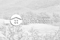 8000 m2 mộc châu giá siêu rẻ 8000 m2 mộc châu giá siêu rẻ 8000 m2 mộc châu giá siêu rẻ