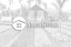 Chuyển nhượng 20.000m2 khu công nghiệp cẩm giàng hải dương